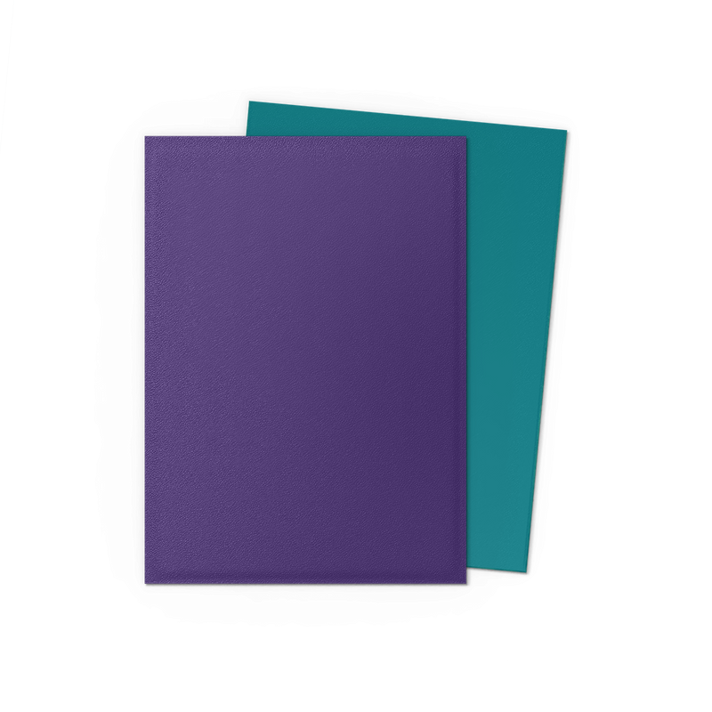 Dragon Shield: Standard 100ct Sleeves - Soul and Petrol