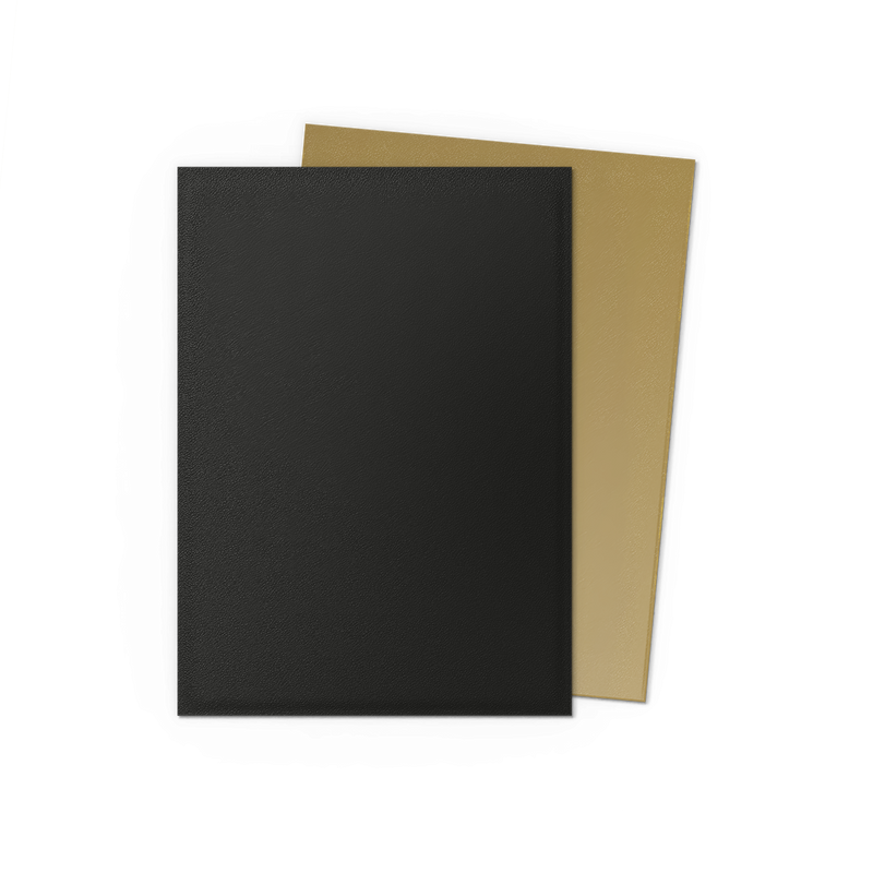 Dragon Shield: Standard 100ct Sleeves - Black and Gold