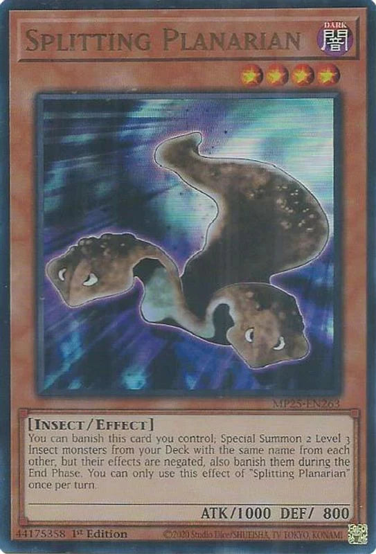 Splitting Planarian [MP25-EN263] Ultra Rare