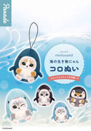 Mofusand: Marine Life Meow Koronui Plush - Blind Box