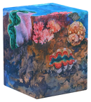 Ultimate Guard -RTE Boulder 100+ - (Coral Places - Coraline Eden)