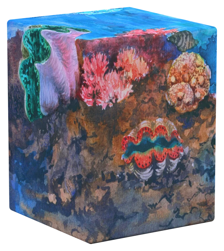 Ultimate Guard -RTE Boulder 100+ - (Coral Places - Coraline Eden)