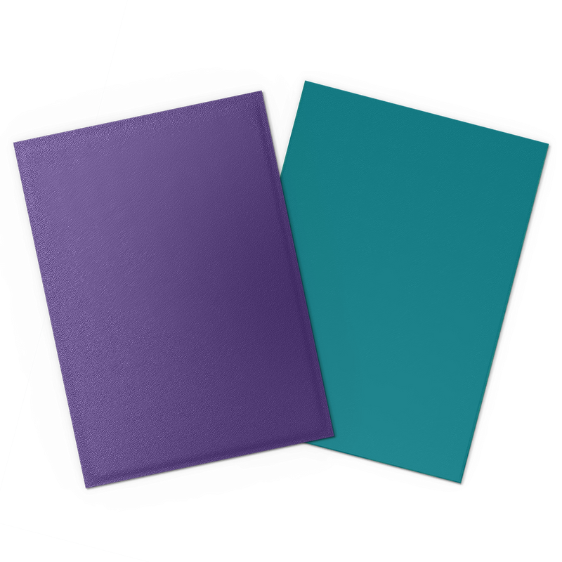 Dragon Shield: Standard 100ct Sleeves - Soul and Petrol