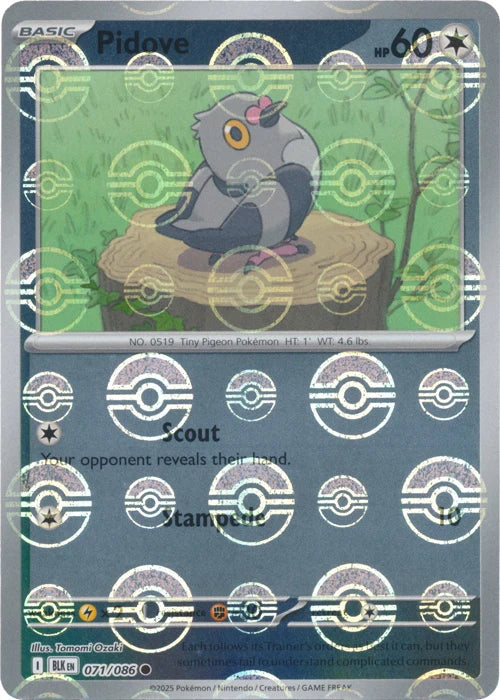 Pidove (071/086) (Poke Ball Pattern) [Scarlet & Violet: Black Bolt]
